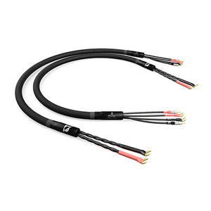 Monitor - Speaker Cables